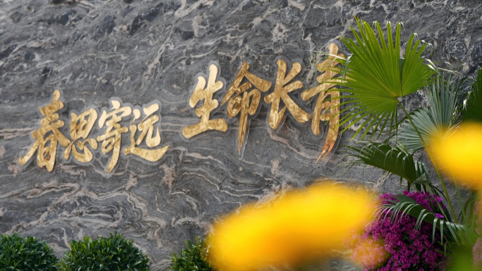 新華網(wǎng)民生觀察丨生態(tài)安葬，從被動接受到主動預約