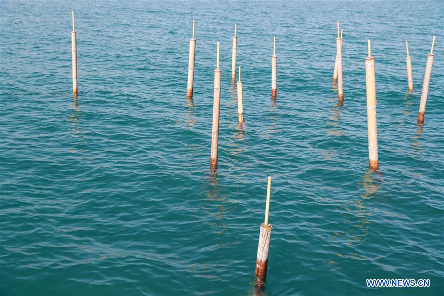 THAILAND-KRABI-ART-BIENNALE