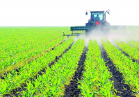 中央連發(fā)新政助推農業(yè)發(fā)展