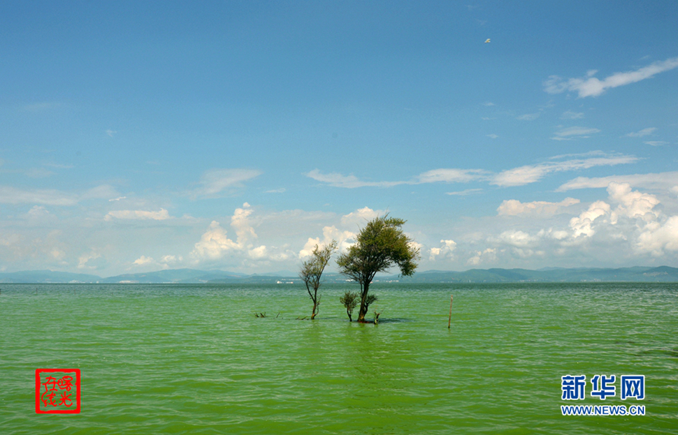 陽(yáng)光昆明，爽爽的春城