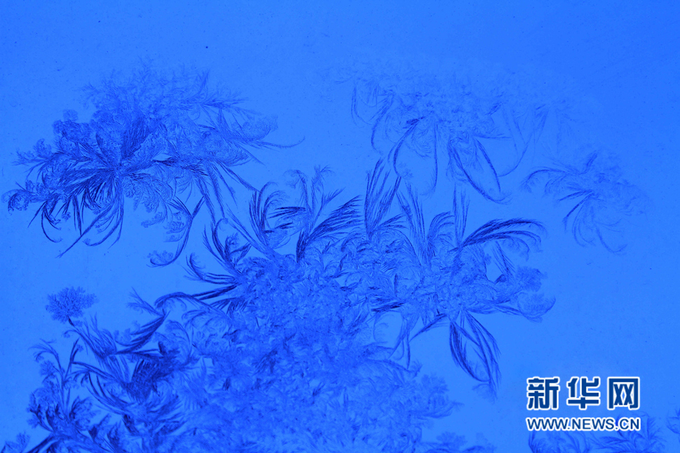 忽如一夜寒冬來(lái)，千家萬(wàn)戶窗花開(kāi)