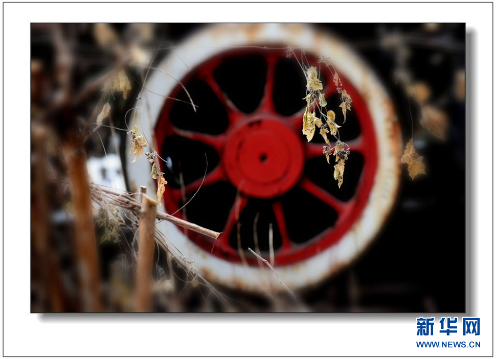 《遺世流年抹滄?！?>	</a></div>
</div>
<div   id=