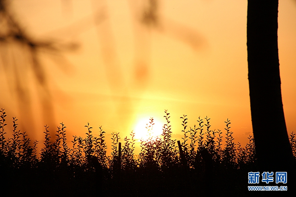 日落西山頭，人約黃昏后