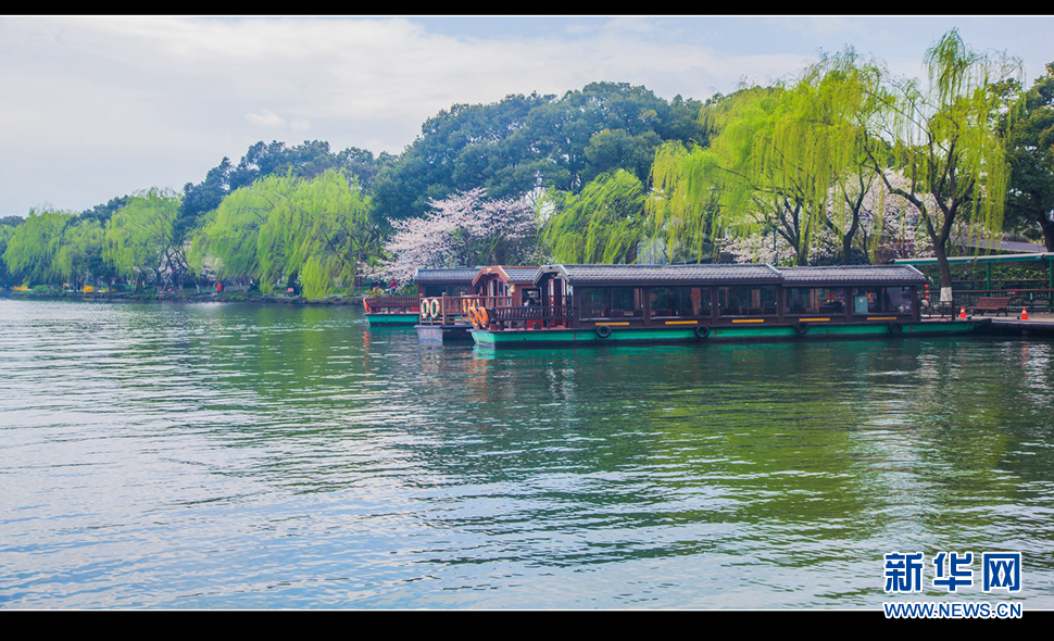 聽風西湖柳，聞香龍井茶