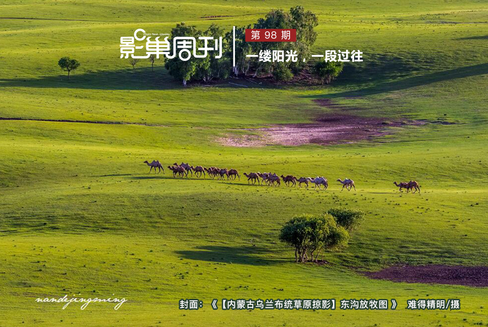 【內(nèi)蒙古烏蘭布統(tǒng)草原掠影】東溝放牧圖