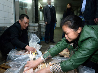 江西宰殺、冷凍積壓禽肉 緩解H7N9禽流感影響