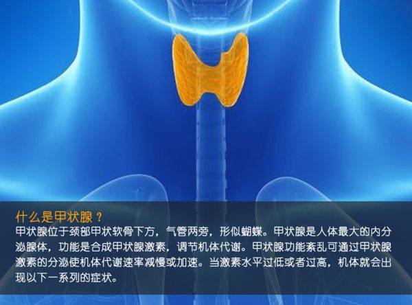 關(guān)注甲狀腺健康，你應(yīng)該知道的那些事