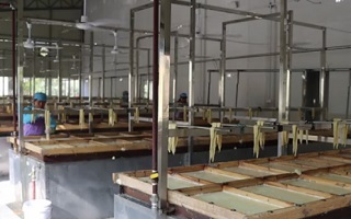 新春走基層丨機關青年如何變身&ldquo;草帽書記&rdquo;