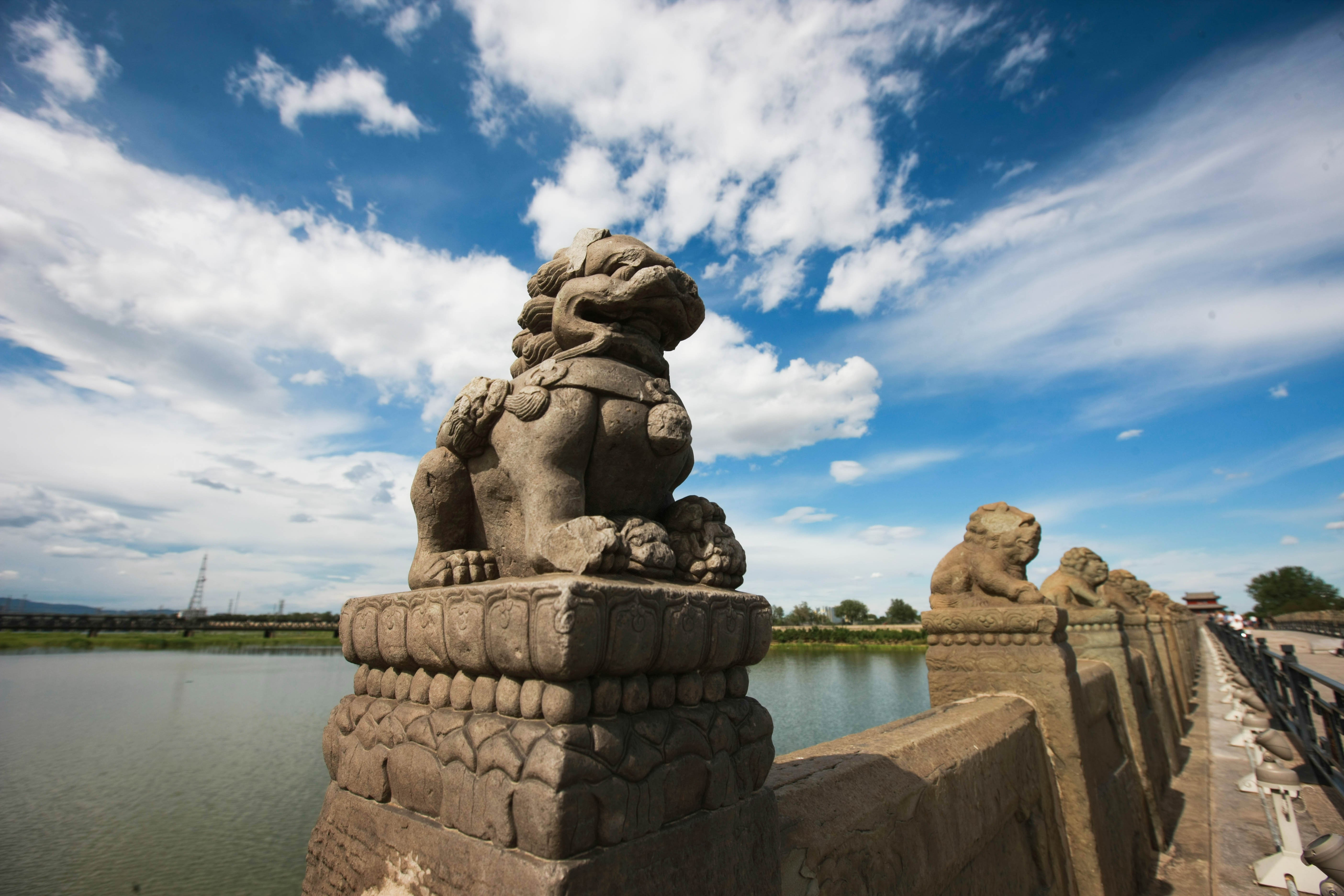 這些照片，來之不易