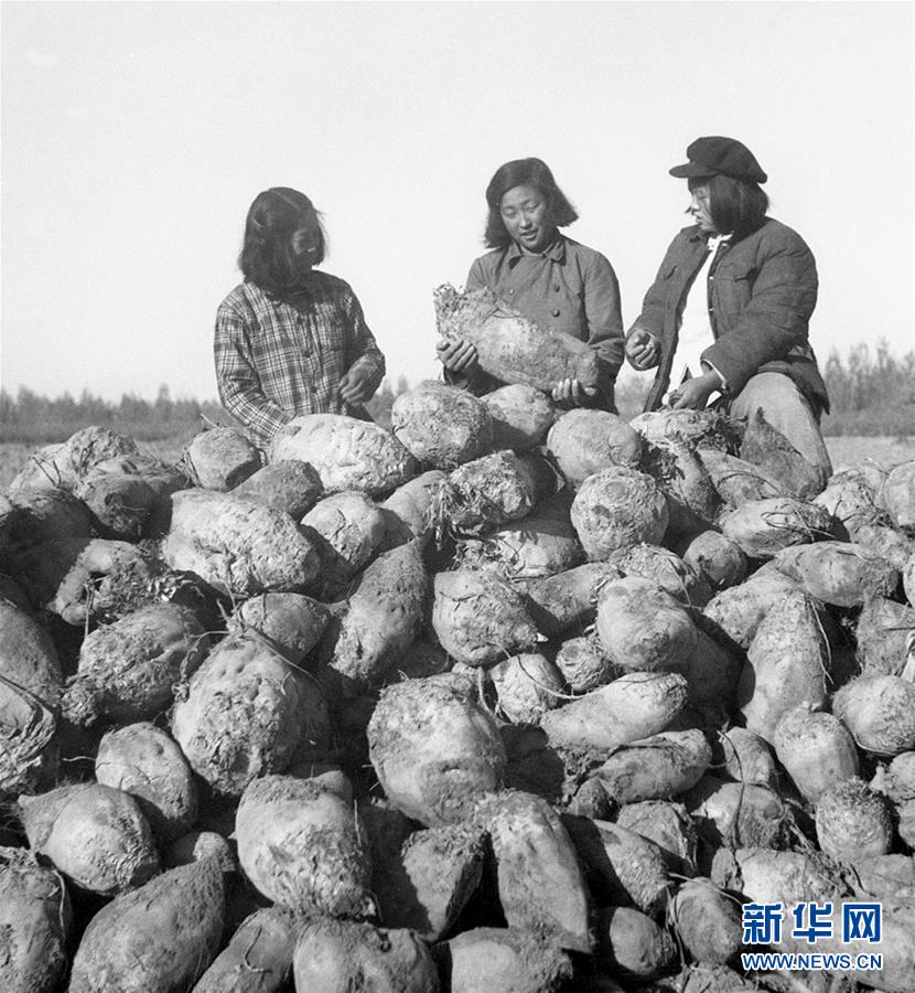 （圖文互動(dòng)）（2）為了&ldquo;中國(guó)號(hào)&rdquo;巨輪揚(yáng)帆遠(yuǎn)航&mdash;&mdash;中國(guó)共產(chǎn)黨領(lǐng)導(dǎo)下的人民軍隊(duì)忠于祖國(guó)、服務(wù)人民啟示錄