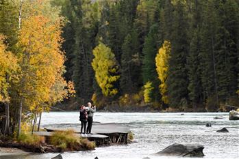 新疆旅游業(yè)&ldquo;回暖&rdquo; 阿勒泰秋季旅游升溫加速