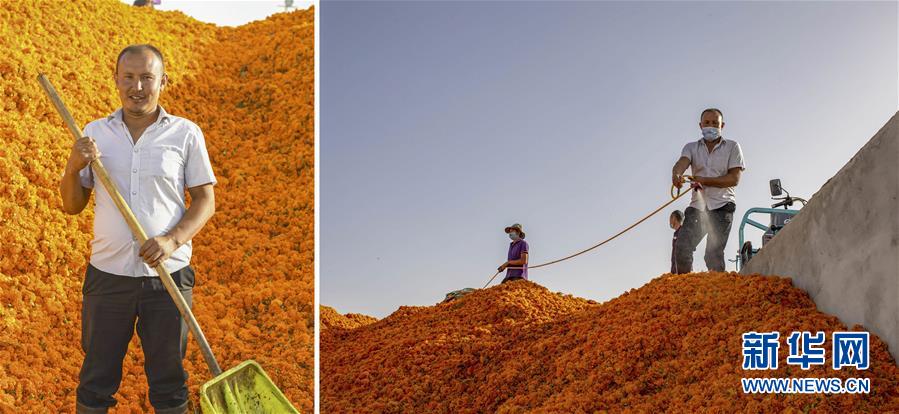 （脫貧攻堅(jiān)&middot;圖片故事）（6）脫貧靠雙手&mdash;&mdash;新疆和田地區(qū)未摘帽縣就業(yè)見聞