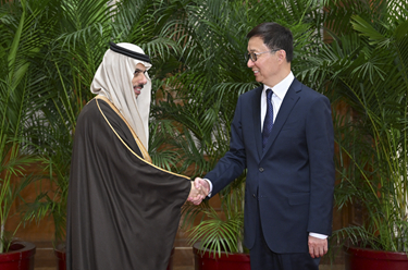 韓正集體會(huì)見阿拉伯、伊斯蘭國家外長聯(lián)合代表團(tuán)