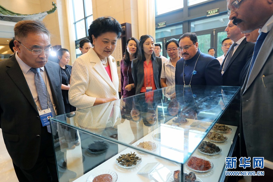 7月6日，金磚國家衛(wèi)生部長會暨傳統(tǒng)醫(yī)藥高級別會議在天津開幕。這是國務(wù)院副總理劉延?xùn)|與外賓一起參觀傳統(tǒng)醫(yī)藥文化展。 新華社記者 張玉薇 攝