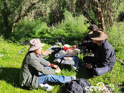 長途跋涉途中休息。