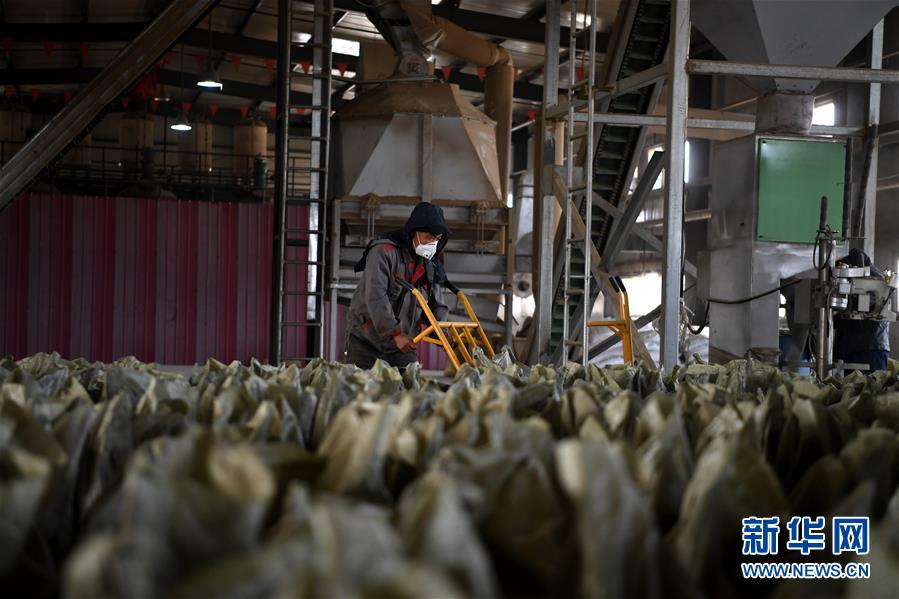 （在習(xí)近平新時(shí)代中國特色社會主義思想指引下&mdash;&mdash;新時(shí)代新氣象新作為&middot;鄉(xiāng)村振興戰(zhàn)略&middot;圖文互動）（1）&ldquo;與其放火，不如打包&rdquo;&mdash;&mdash;山西渾源秸稈綜合再利用見聞