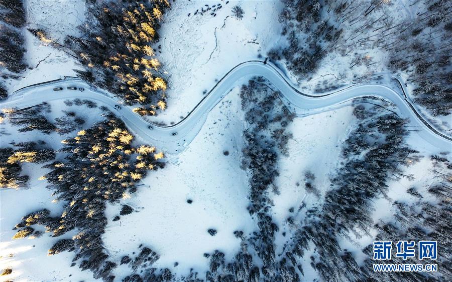 (兩會前夕看落實·圖文互動)(6)牢記囑托增進(jìn)民族團結(jié) 凝心聚力建設(shè)美麗新疆——新疆落實習(xí)近平總書記全國兩會重要講話精神紀(jì)實