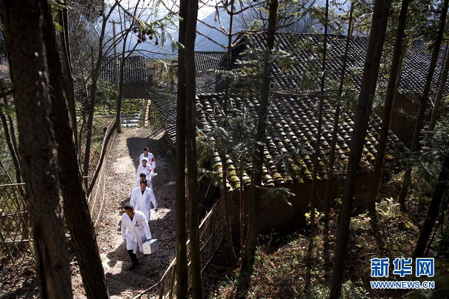 (新華全媒頭條·圖文互動(dòng))(6)承諾有“干貨” 落實(shí)有“硬招”——“全國兩會(huì)部長通道”上承諾踐行情況掃描