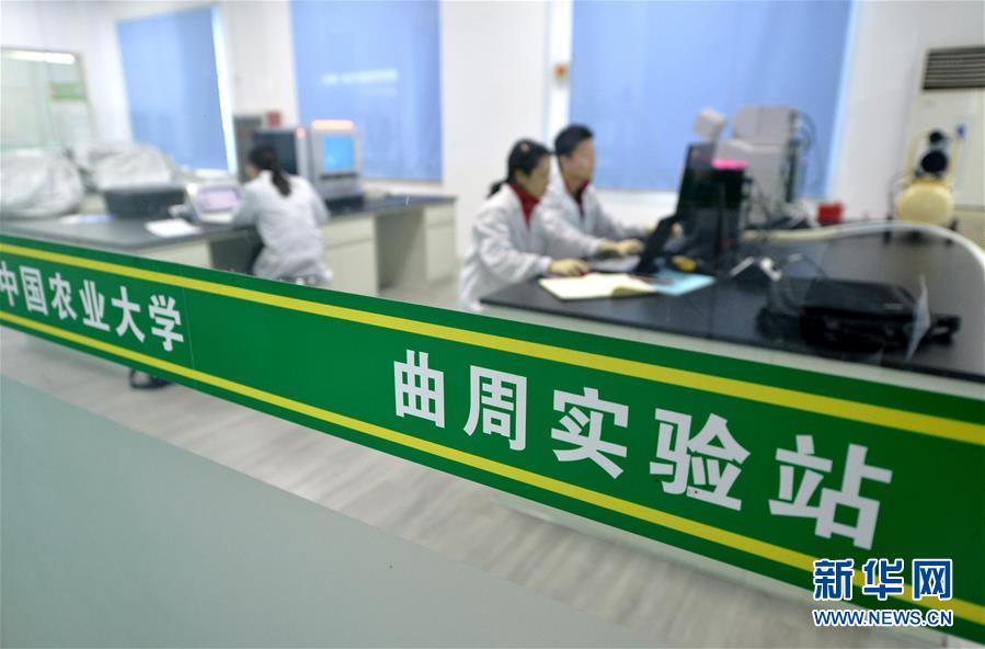 （愛國(guó)情 奮斗者&middot;圖文互動(dòng)）（3） &ldquo;解民生之多艱，育天下之英才&rdquo;&mdash;&mdash;中國(guó)農(nóng)大師生扎根田野書寫奉獻(xiàn)之歌