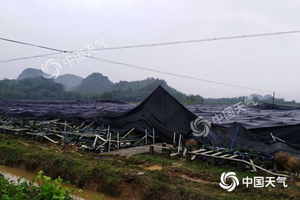 周末雨不休！南北方同迎大范圍降水