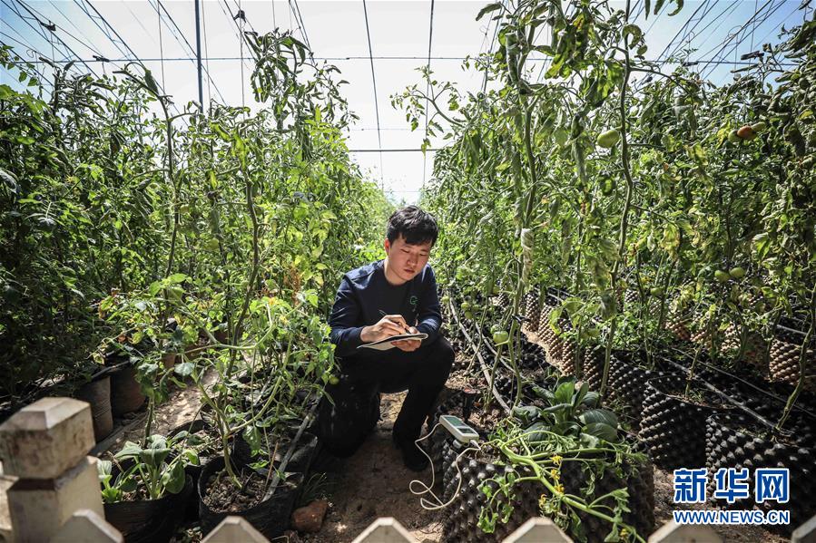 （新華全媒頭條&middot;圖文互動(dòng)）（5）青春萬歲 強(qiáng)國(guó)有我