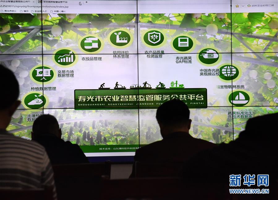 （壯麗70年&middot;奮斗新時(shí)代&middot;圖文互動）（4）山東壽光：一棵&ldquo;菜&rdquo;興一座城 