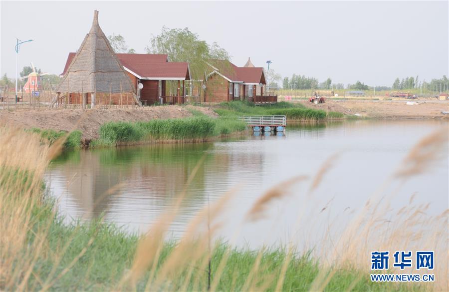 (北京世園會·圖文互動)(4)“百湖之鄉(xiāng)”磴口縣再現(xiàn)生態(tài)田園風(fēng)光