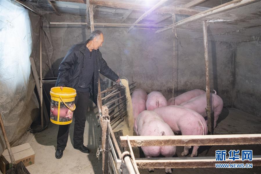 (圖文互動)(5)從“輕工漁網(wǎng)重工馬掌”到“圓夢小康”——“中國東極”脫貧攻堅(jiān)剪影