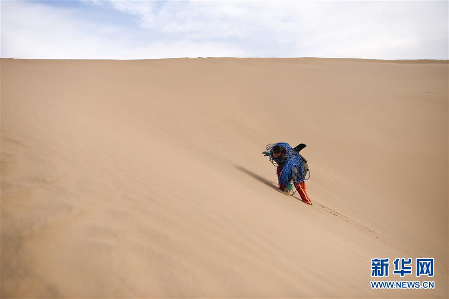 （新春走基層&middot;圖文互動）（3）寒冬里，&ldquo;沙漠玫瑰&rdquo;猶自綻放