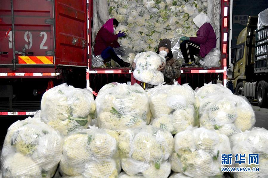 (在習(xí)近平新時(shí)代中國(guó)特色社會(huì)主義思想指引下——新時(shí)代新作為新篇章·習(xí)近平總書記關(guān)切事·圖文互動(dòng))(5)“菜籃子”里的力量——全國(guó)各地努力做好保障和改善民生工作在行動(dòng)