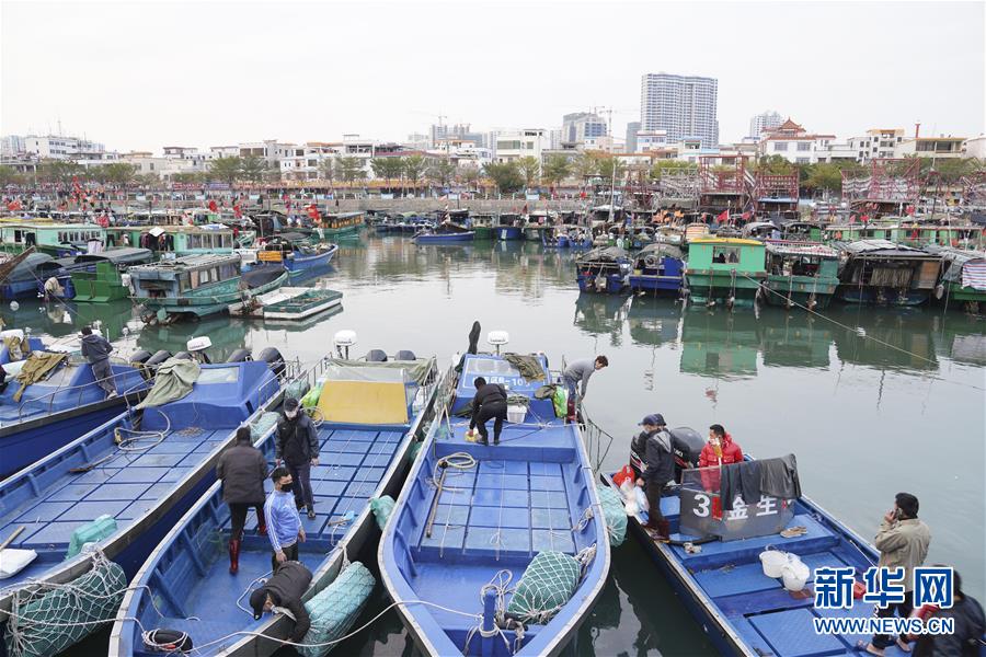 (圖文互動(dòng))(1)與疫情抗?fàn)?與春光同行——廣西農(nóng)村春耕備耕一線觀察