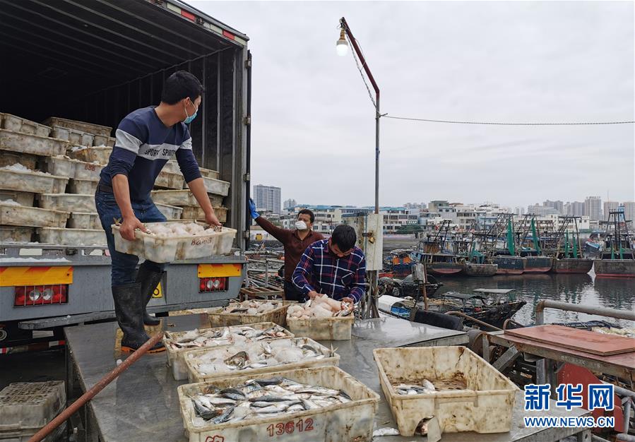 (圖文互動(dòng))(5)與疫情抗?fàn)?與春光同行——廣西農(nóng)村春耕備耕一線觀察