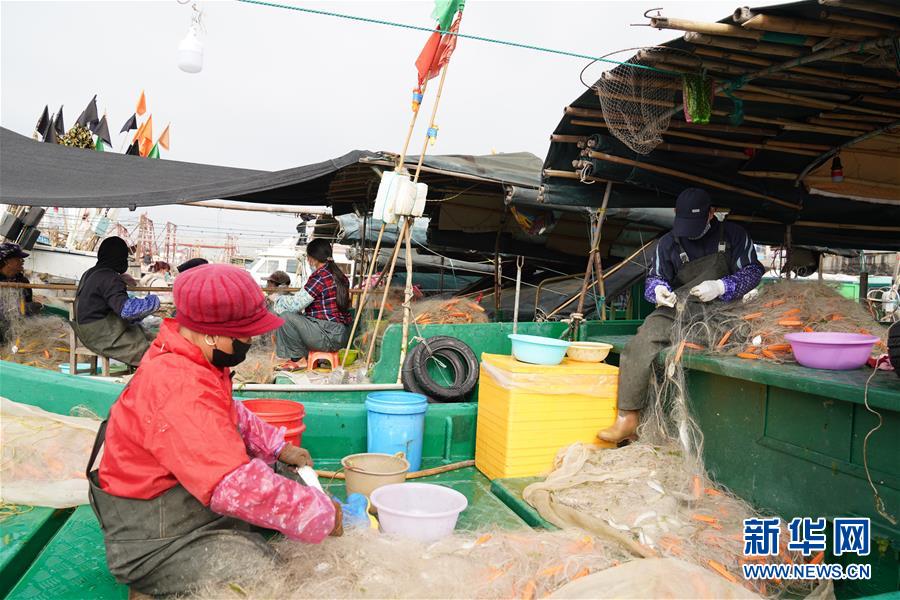 (圖文互動(dòng))(2)與疫情抗?fàn)?與春光同行——廣西農(nóng)村春耕備耕一線觀察