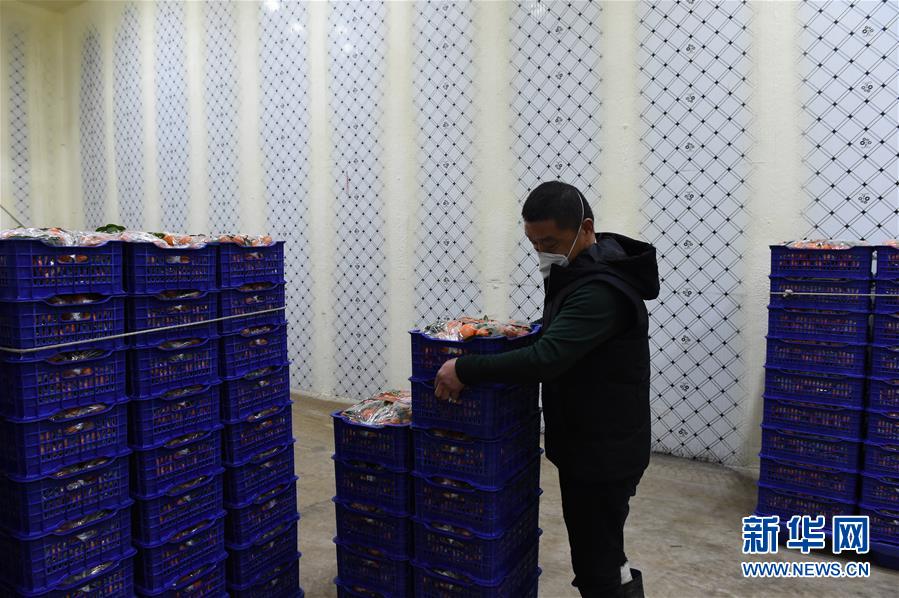 (圖文互動(dòng))(7)與疫情抗?fàn)?與春光同行——廣西農(nóng)村春耕備耕一線觀察