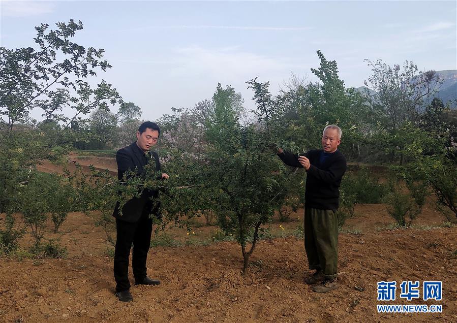 (新華全媒頭條·圖文互動)(6)春天里的5個“戰(zhàn)貧”瞬間——習近平總書記關(guān)于脫貧攻堅決策部署指引攻克最后的深貧堡壘