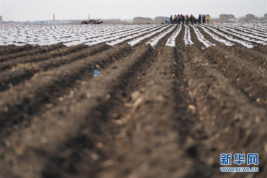 (在習(xí)近平新時(shí)代中國特色社會主義思想指引下——新時(shí)代新作為新篇章·習(xí)近平總書記關(guān)切事·圖文互動)(3)讓每一寸耕地都成為豐收的沃土——我國加強(qiáng)耕地保護(hù)推進(jìn)“藏糧于地”