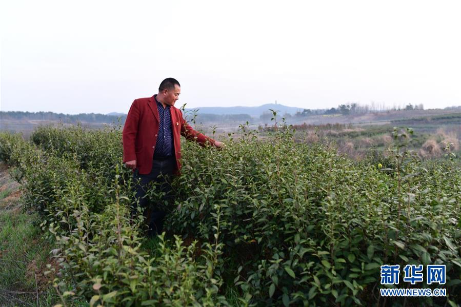 (決戰(zhàn)決勝脫貧攻堅(jiān)·圖文互動(dòng))(3)貧困戶(hù)老楊的人生“三級(jí)跳”