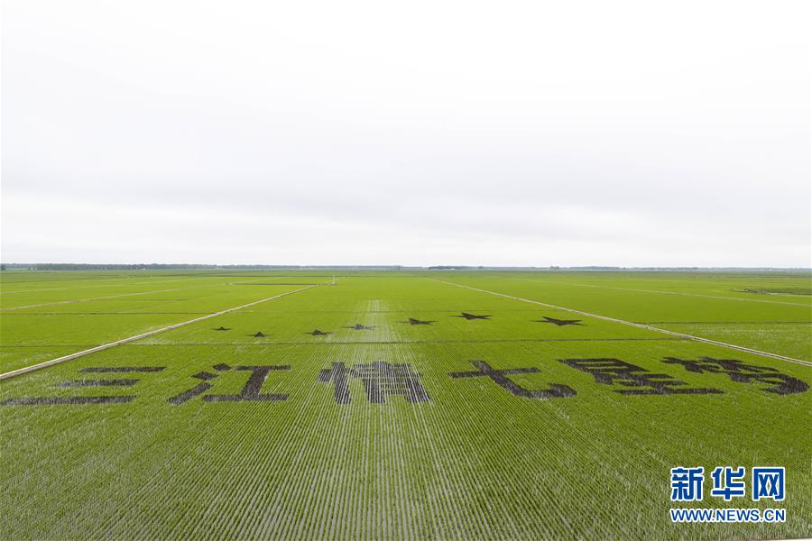 (走向我們的小康生活·圖文互動(dòng))(2)端牢“中國飯碗” 播種綠色小康