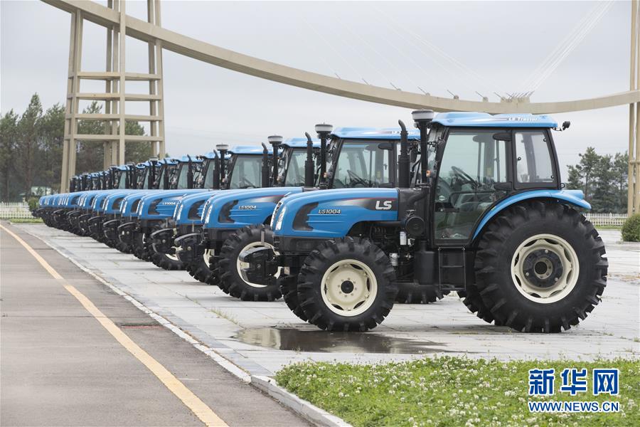 (走向我們的小康生活·圖文互動(dòng))(9)端牢“中國飯碗” 播種綠色小康