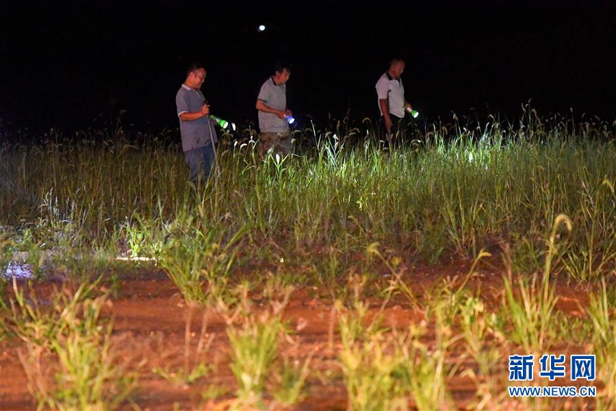 （防汛抗洪&middot;圖文互動(dòng)）（2）&ldquo;保衛(wèi)家園，誰都不能是旁觀者&rdquo;&mdash;&mdash;夜訪洞庭湖大堤防汛一線