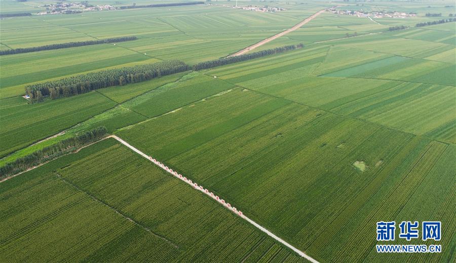 （在習(xí)近平新時代中國特色社會主義思想指引下&mdash;&mdash;新時代新作為新篇章&middot;習(xí)近平總書記關(guān)切事&middot;圖文互動）（2）為黑土加&ldquo;油&rdquo;&mdash;&mdash;&ldquo;耕地中的大熊貓&rdquo;，我們這樣保護(hù)