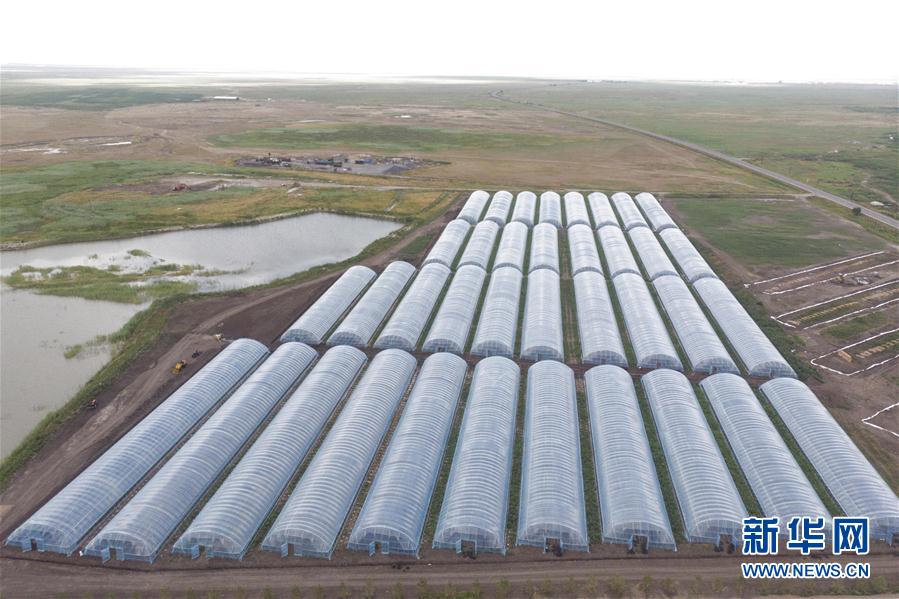 (決戰(zhàn)決勝脫貧攻堅·圖文互動)(2)幸福村的幸福“菜”事