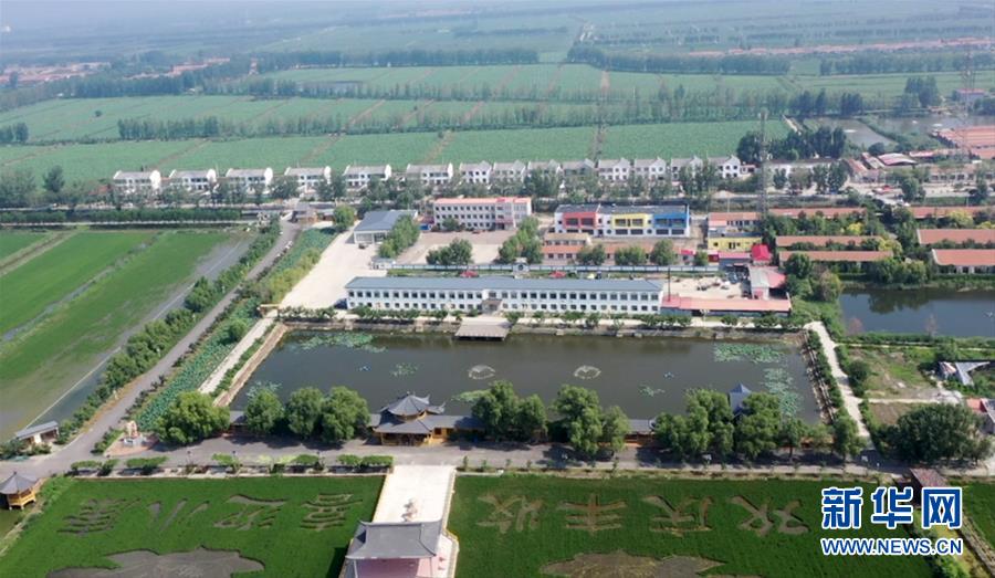 (鄉(xiāng)村振興·圖文互動(dòng))(1)歡喜莊的“歡喜事”