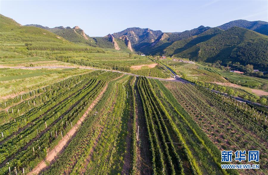 (集中連片特困地區(qū)貧困村調(diào)研行·圖文互動(dòng))(1)又整新鞍馬蹄輕——內(nèi)蒙古喀喇沁旗馬鞍山村脫貧調(diào)查