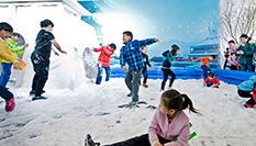 首屆中國冰雪大會在京開幕