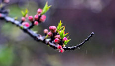 隨心而行，走走停停始終精彩。