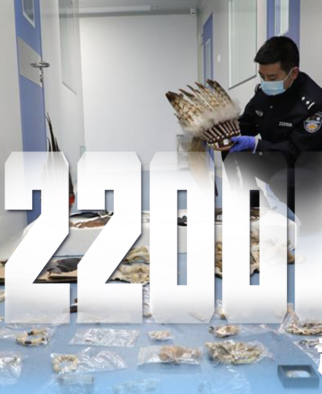 抗疫有&ldquo;法&rdquo;，就是這么給力！