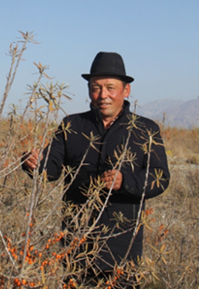 新疆阿合奇縣別迭里村村民圖爾蓀阿力&middot;拜依謝克：沙棘搭平臺(tái) 脫貧奔小康