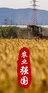 農(nóng)業(yè)強(qiáng)國是社會主義現(xiàn)代化強(qiáng)國的根基。