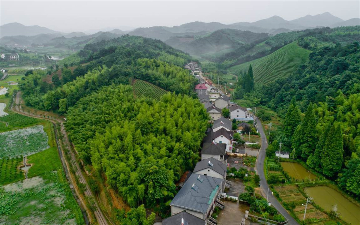 從2003年起，浙江省開展了&ldquo;千村示范、萬村整治&rdquo;工程